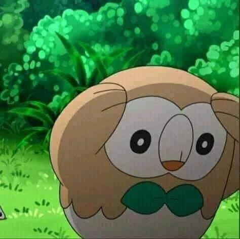 Plantilla de Distressed Rowlet