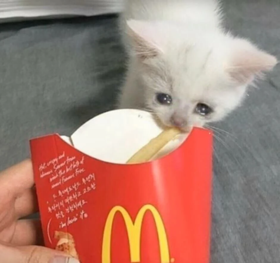 Primera plantilla de Gatito sacando la ultima papa frita