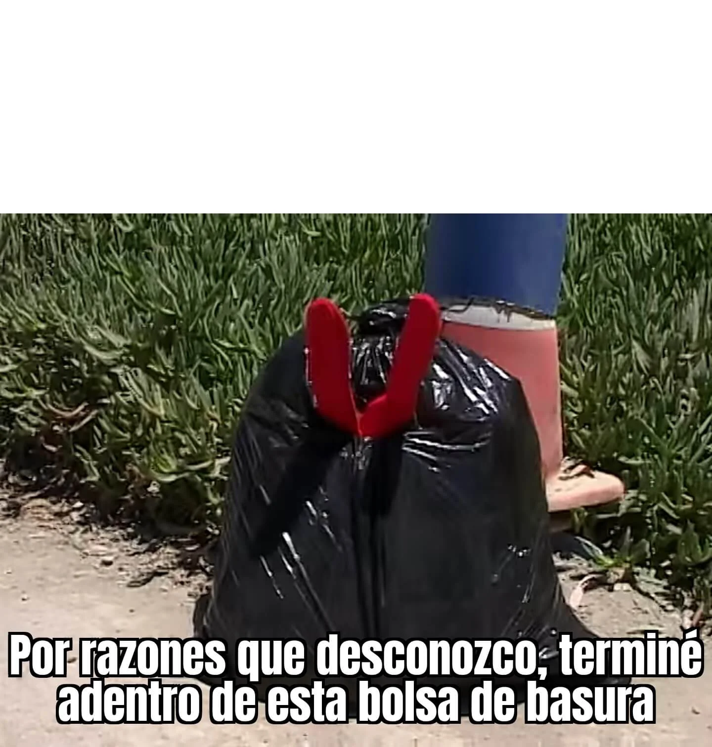 Plantilla de Por razones que desconozco, terminé adentro de esta bolsa de basura