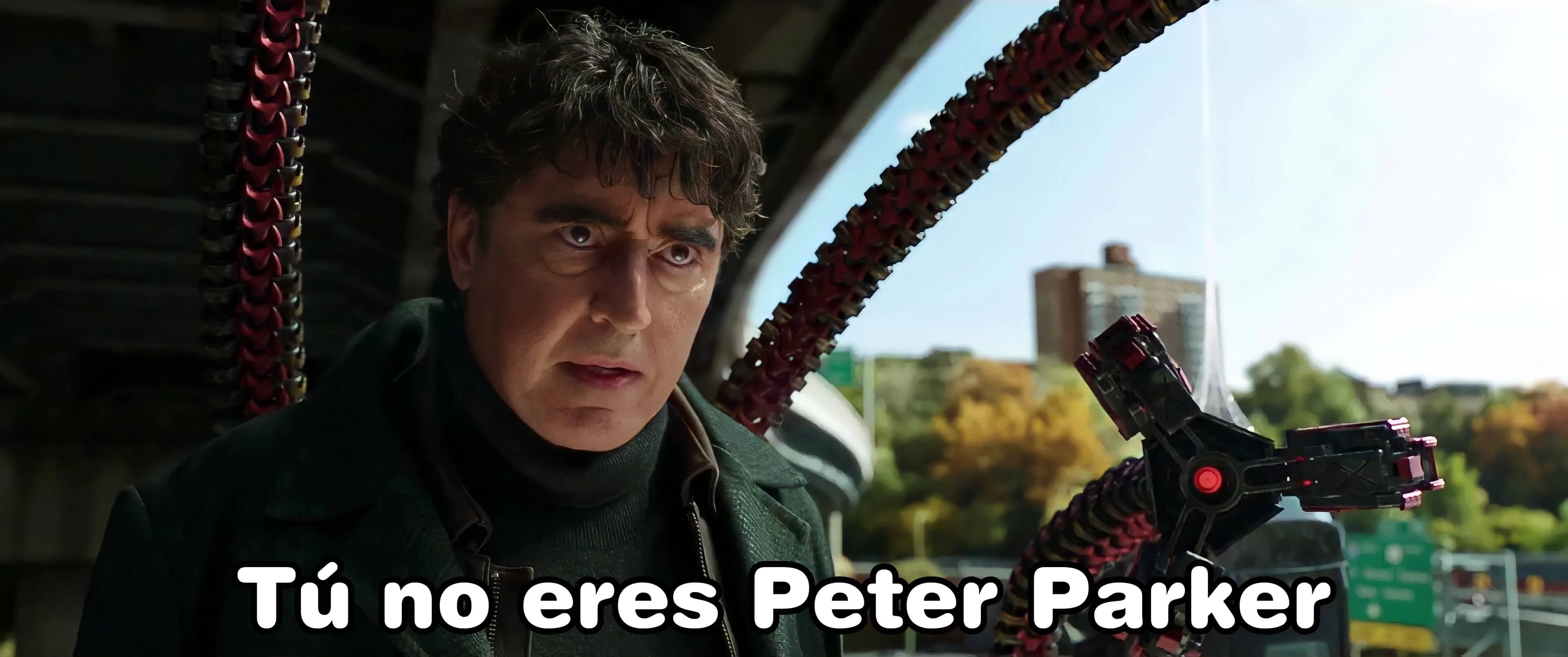 Plantilla de Tú no eres Peter Parker  | AdriSpider numero 3